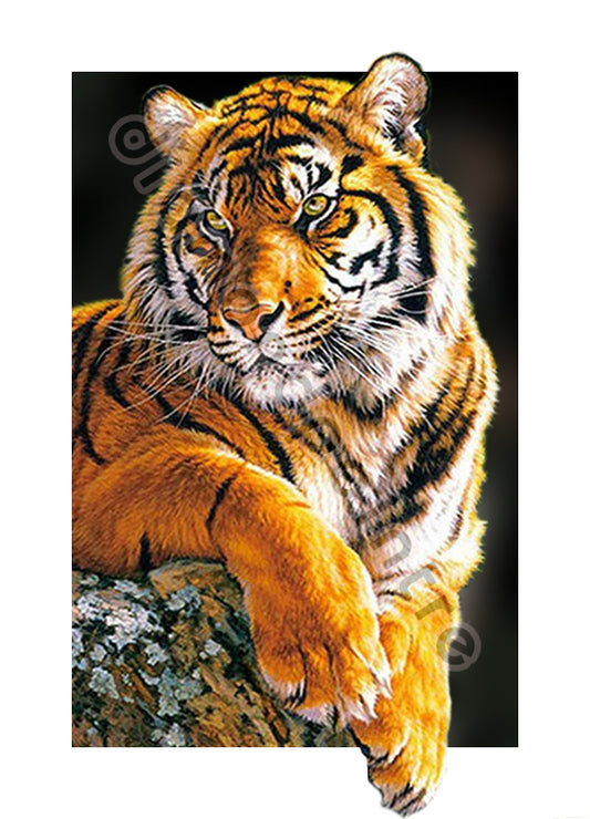 Bengal tiger infested | Full Round/Square Diamond Painting Kits