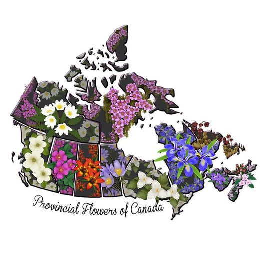 Canada Flower Map | Full Round/Square Diamond Painting Kits