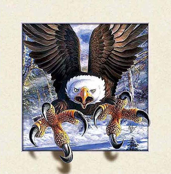 3D Animal Series | Eagle | Full Round/Square Diamond Painting Kits