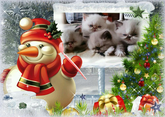 Christmas Snowman and Four Kittens | Full Circle Diamond Painting Kit